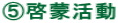 D啓蒙活動